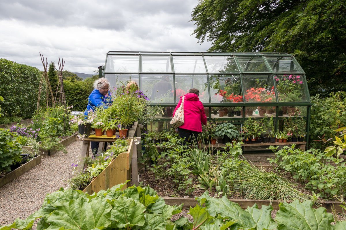 The Potting Shed