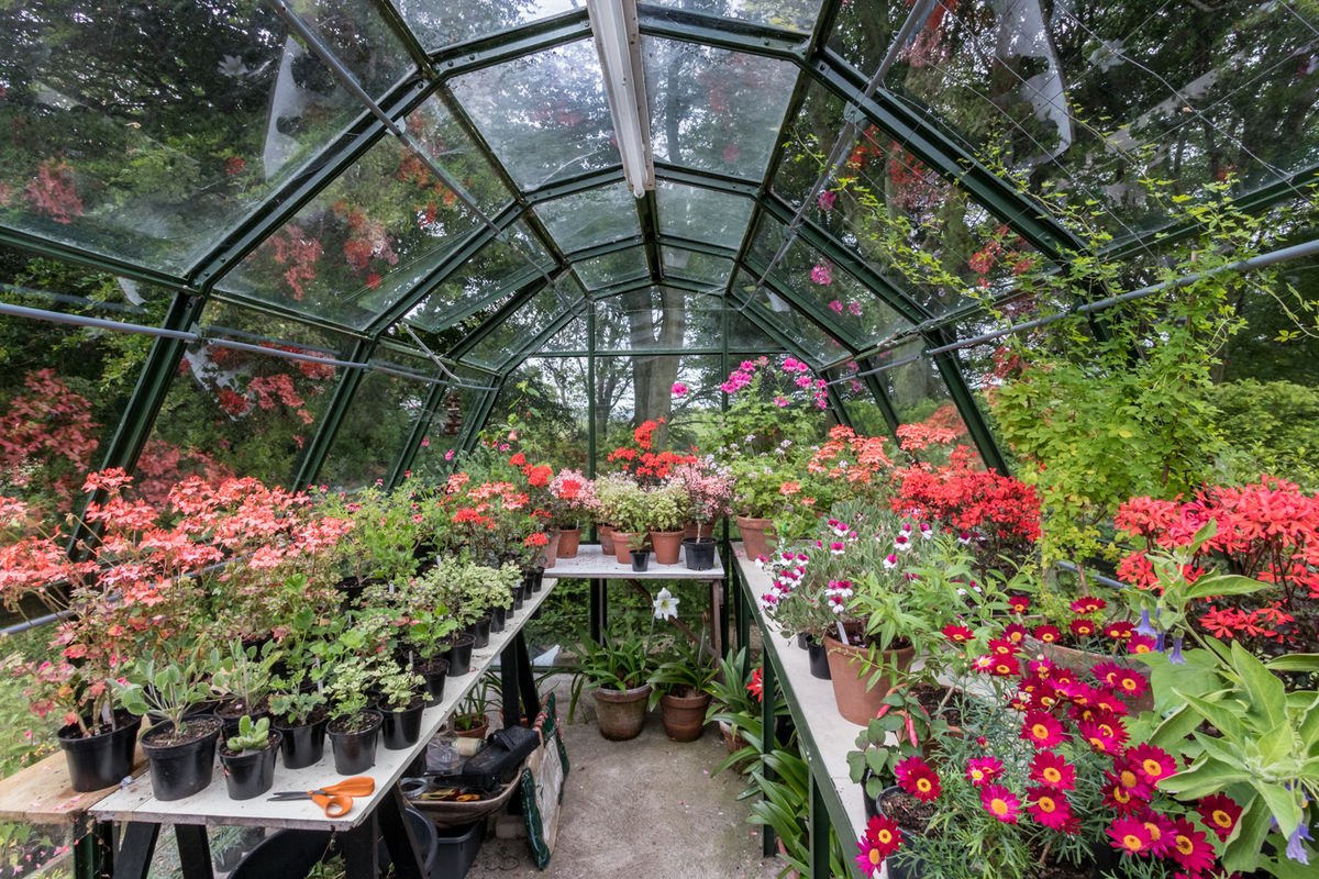 The Potting Shed