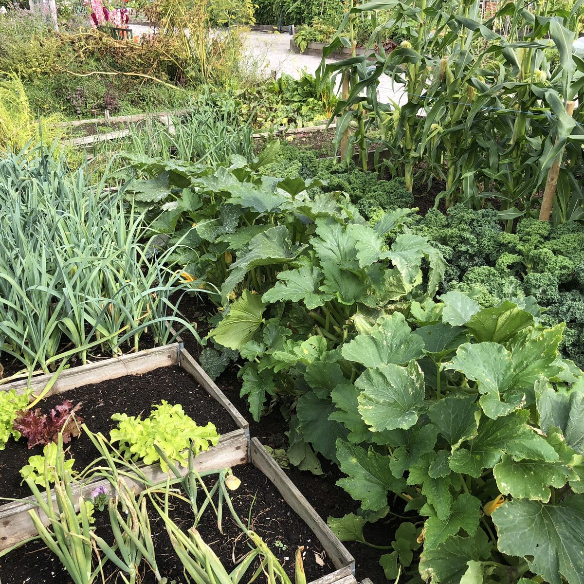 Dalbeattie Community Allotments