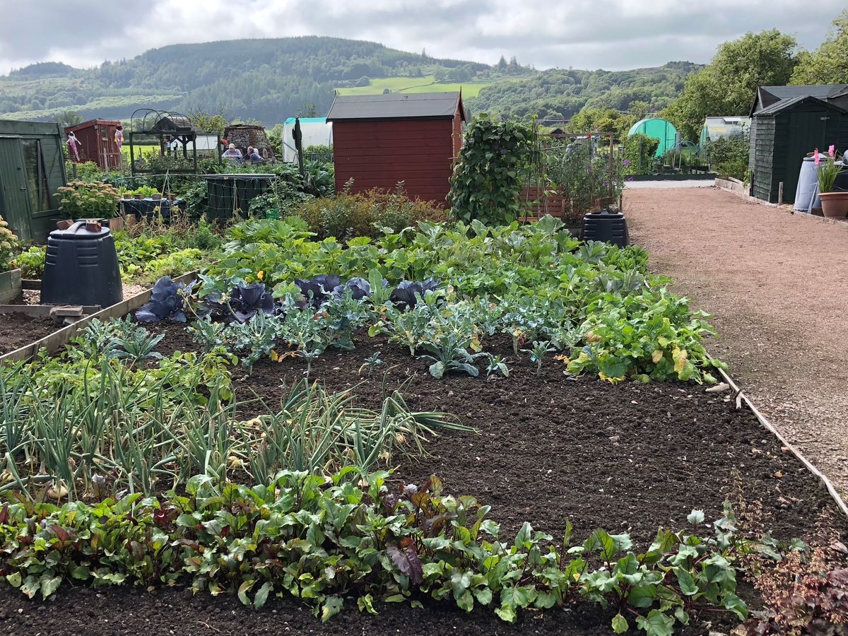 Dalbeattie Community Allotments
