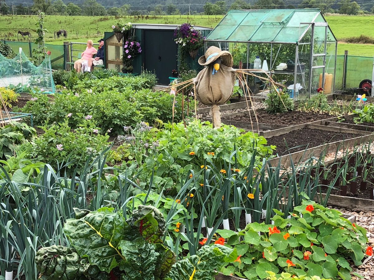 Dalbeattie Community Allotments