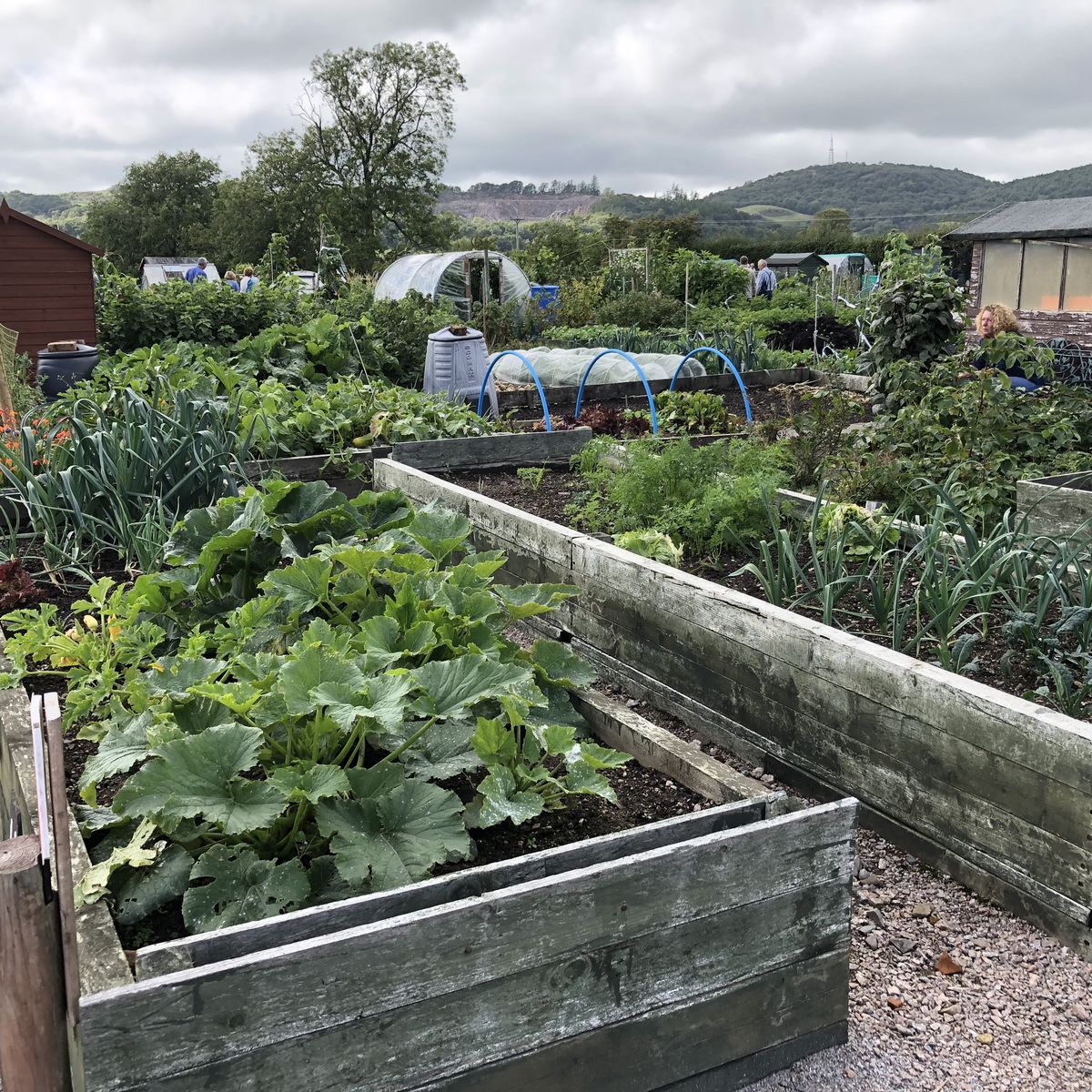 Dalbeattie Community Allotments