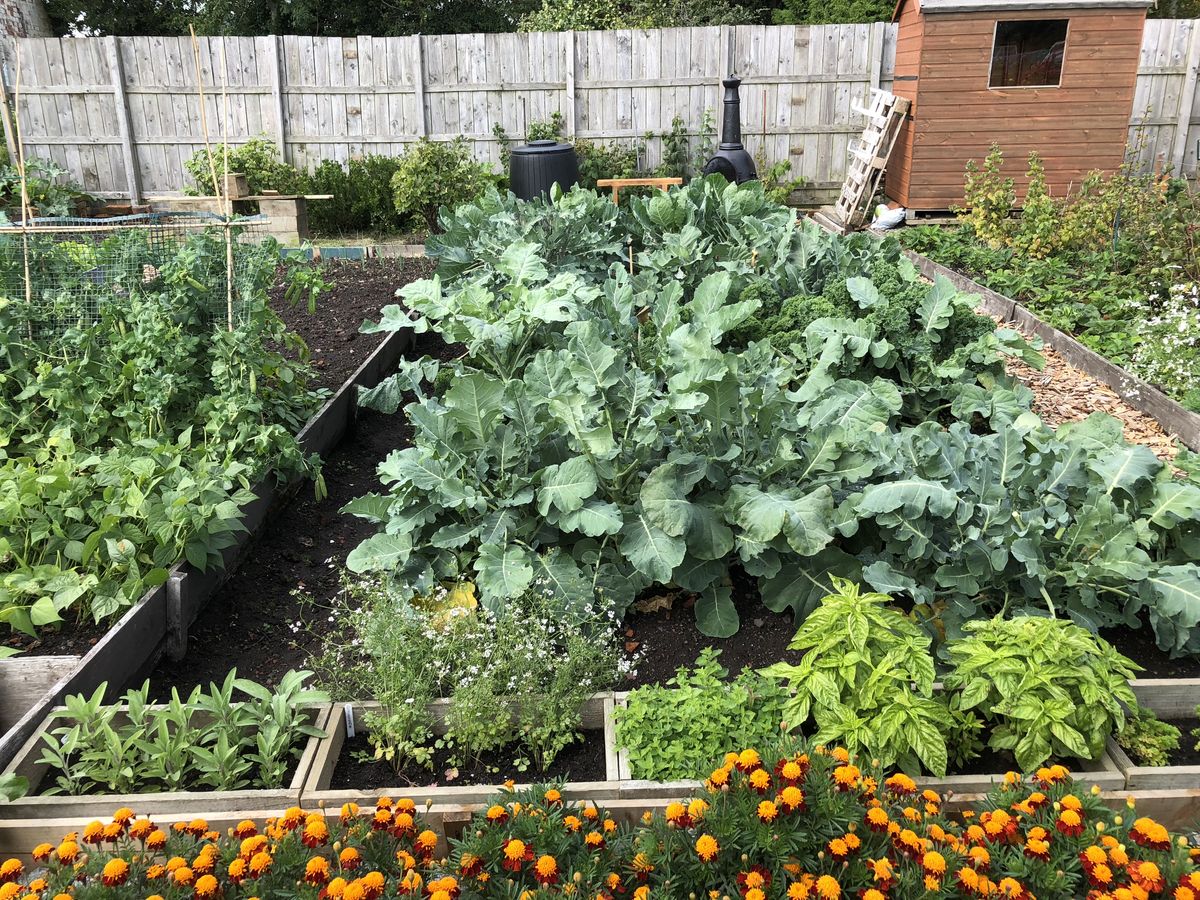 Dalbeattie Community Allotments