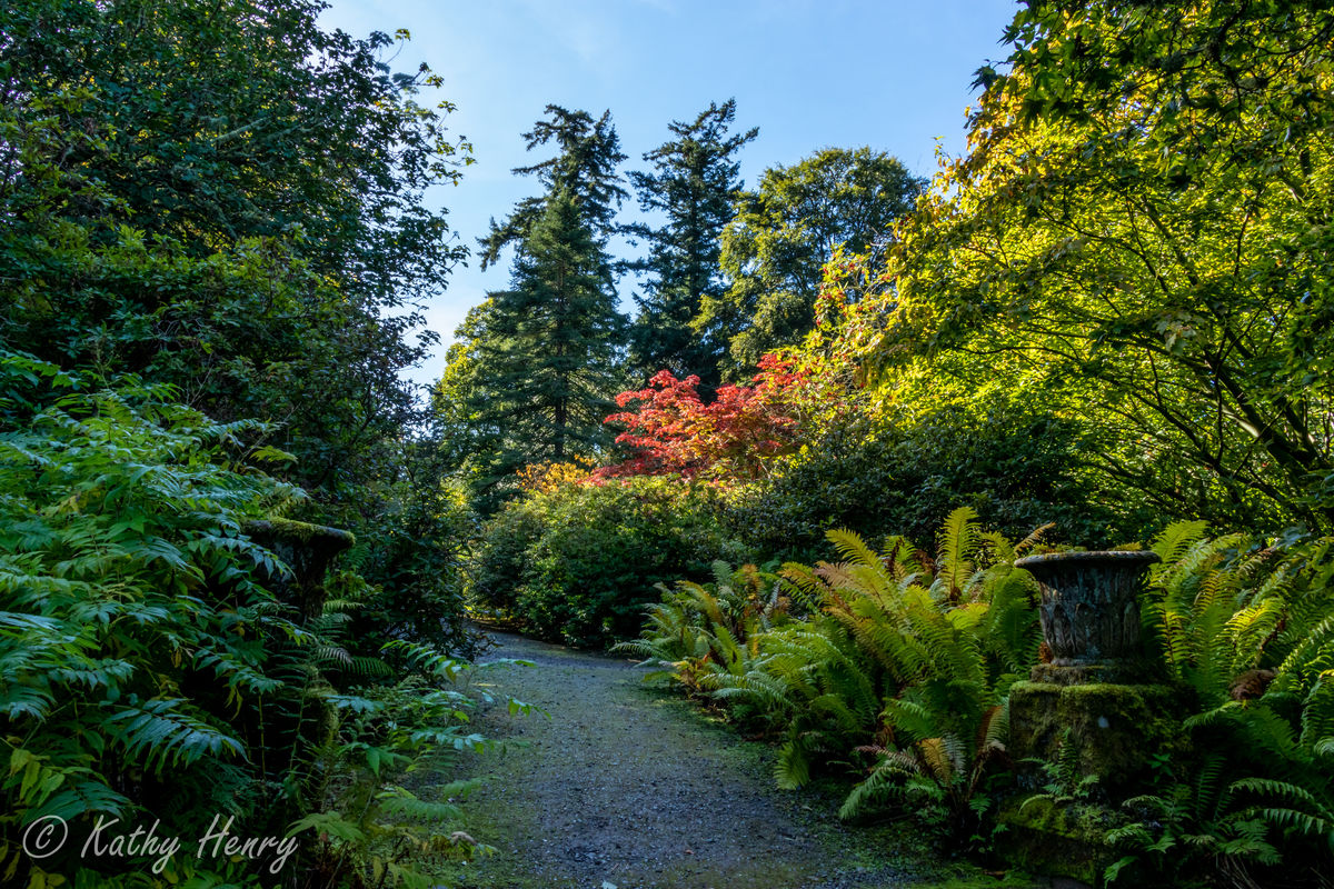 Dawyck Botanic Garden