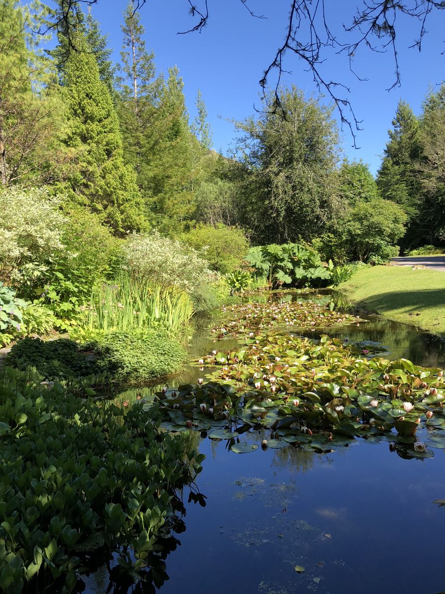 Attadale - top pond