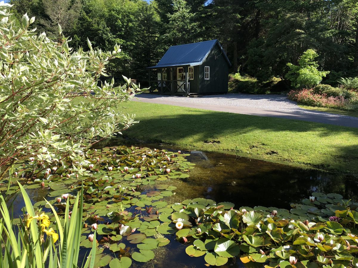 Attadale - top pond with waterlilies