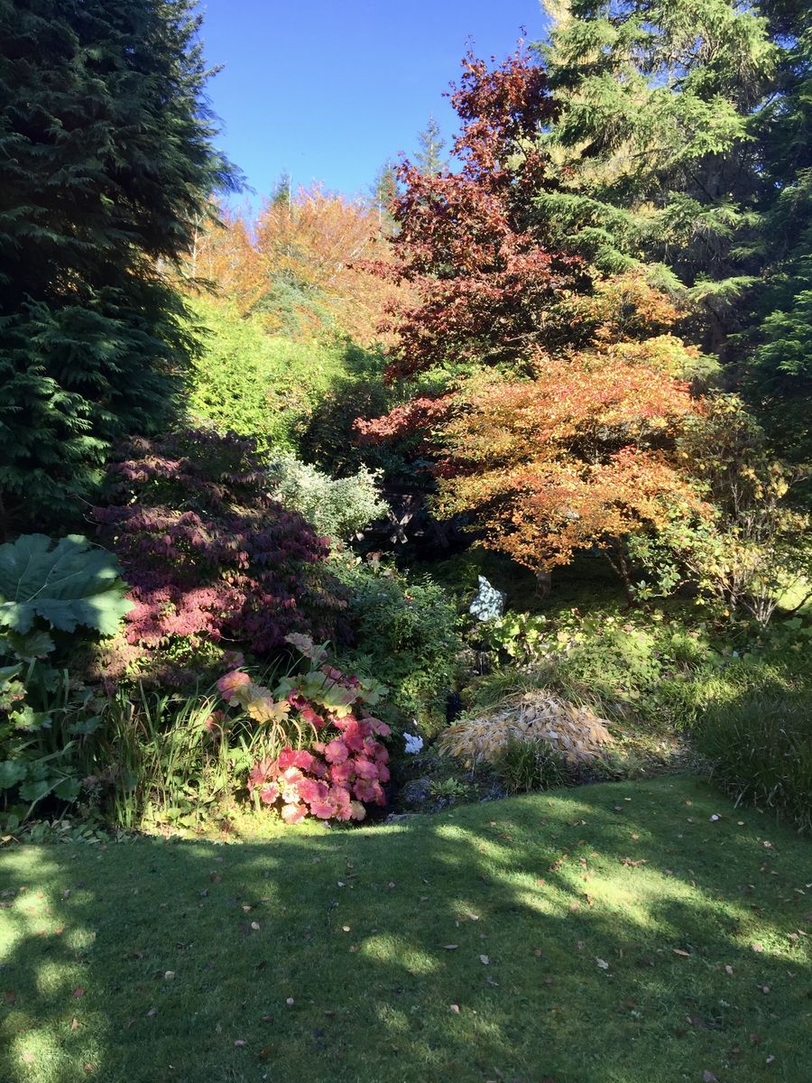 Attadale - Autumn Colours
