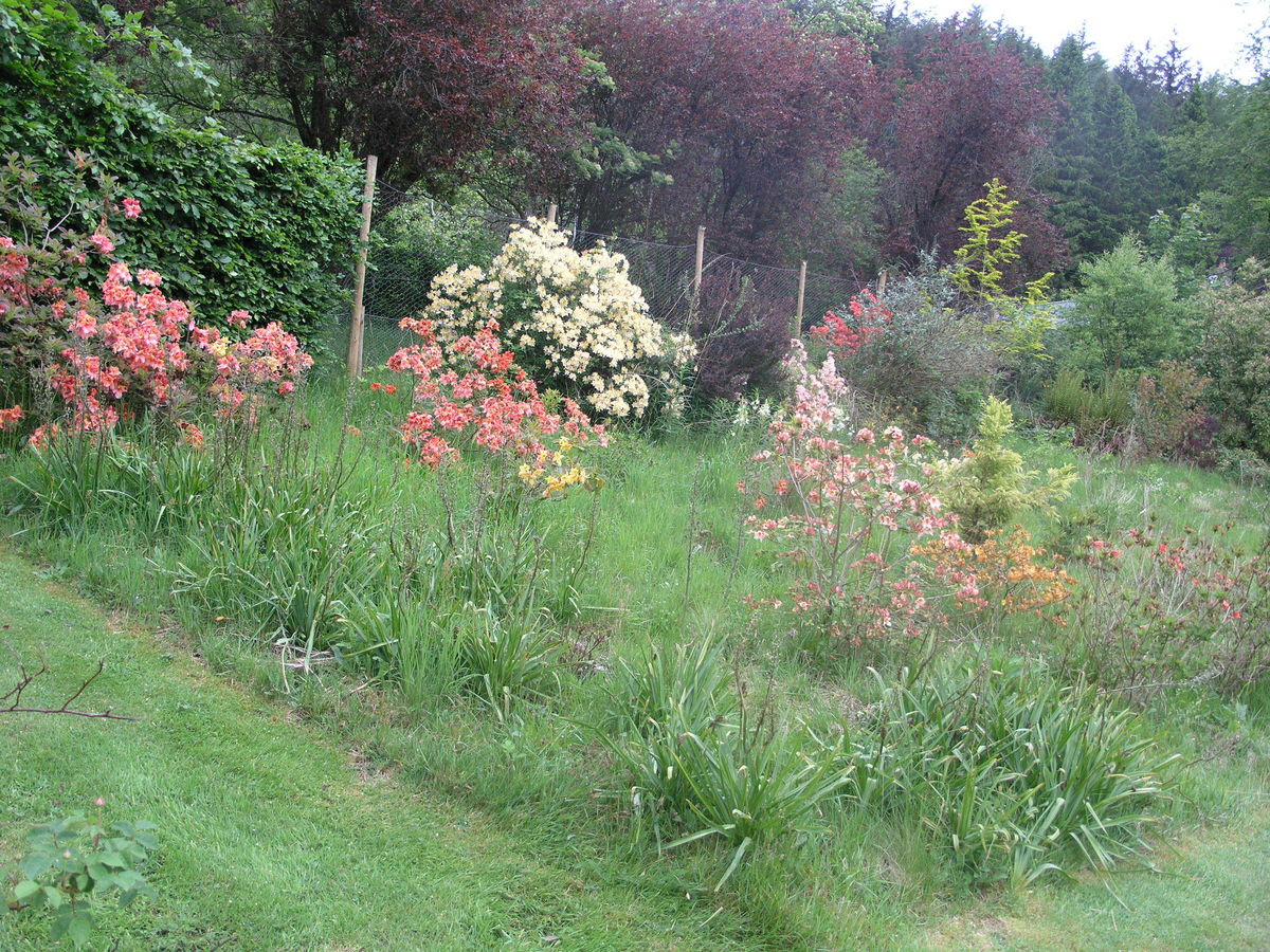 Waterside Garden