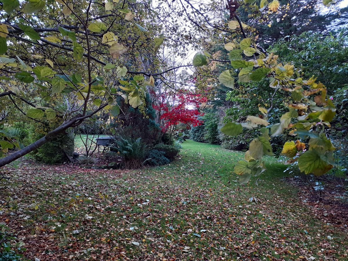 Rivaldsgreen House