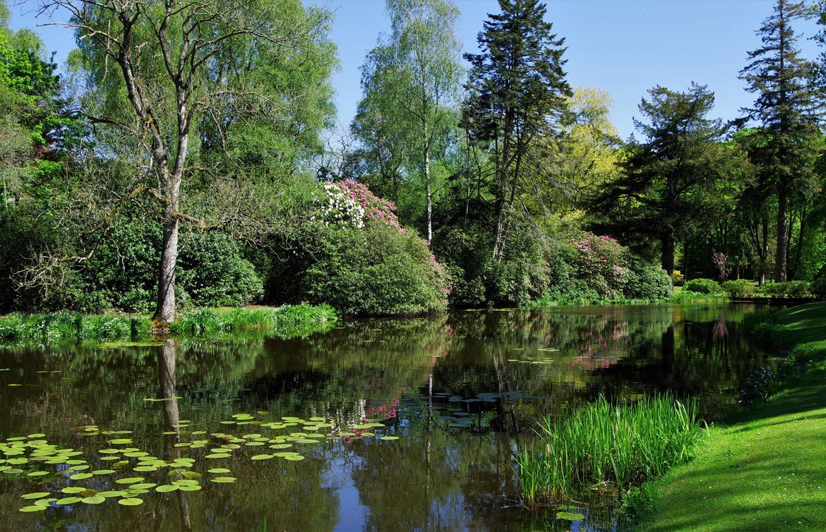 Dalswinton House