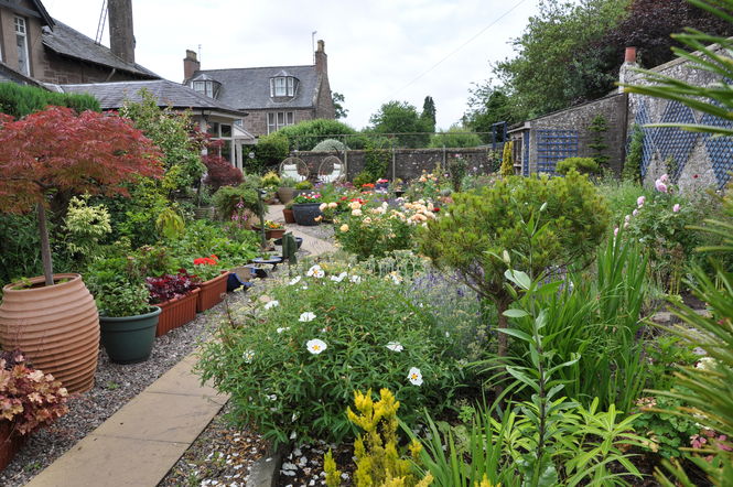 Brechin Gardens in June
