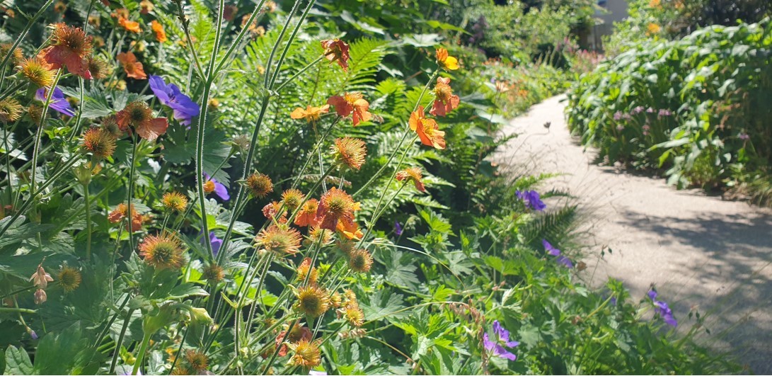 Horatio's Garden