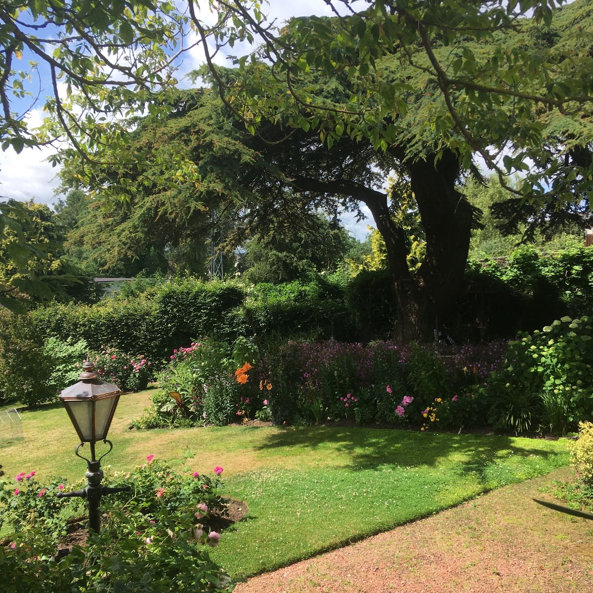 Helensbank - Cedric the Cedar dominates the central flower borders