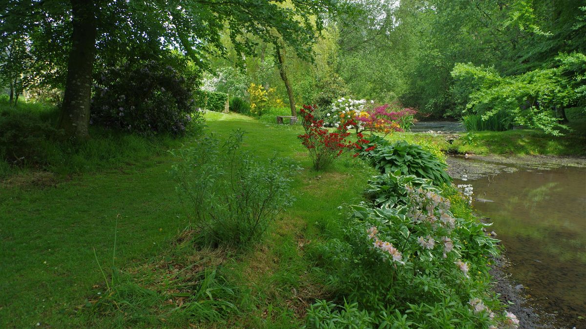 Glenae