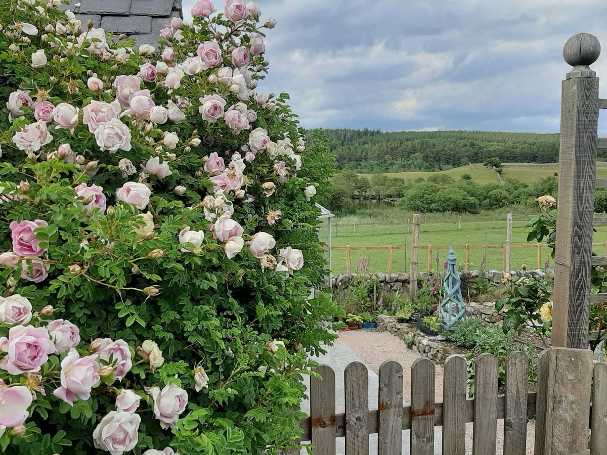 Clonyard Farm