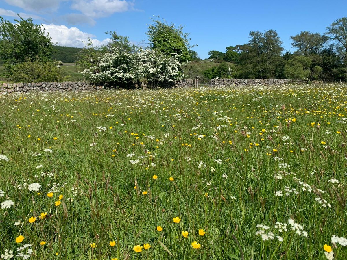 Clonyard Farm