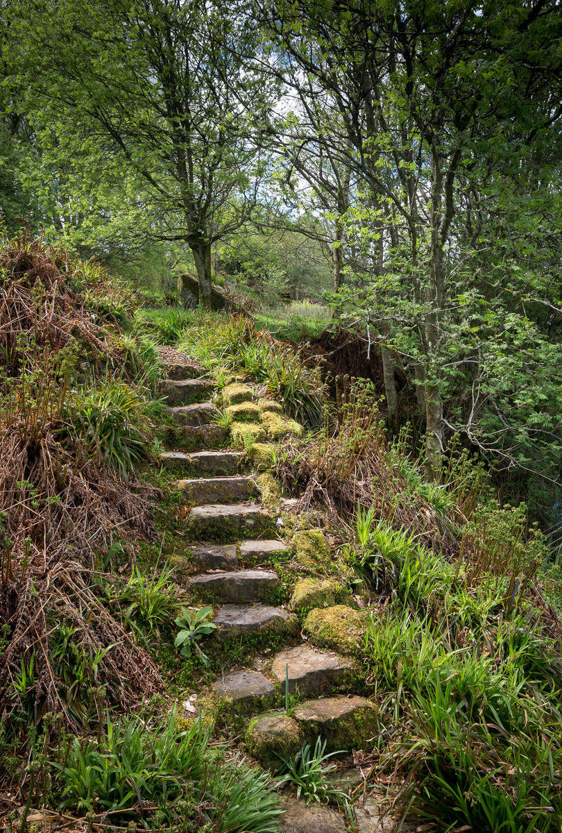 South Flisk stone steps