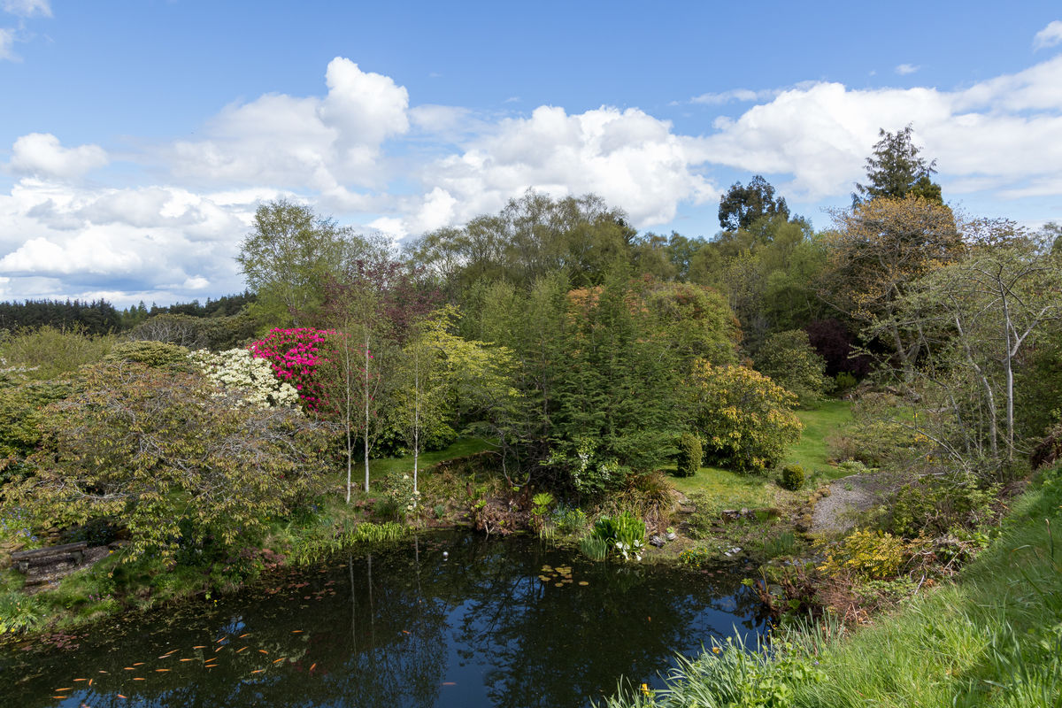 South Flisk wide view of flooded quarry and woodland