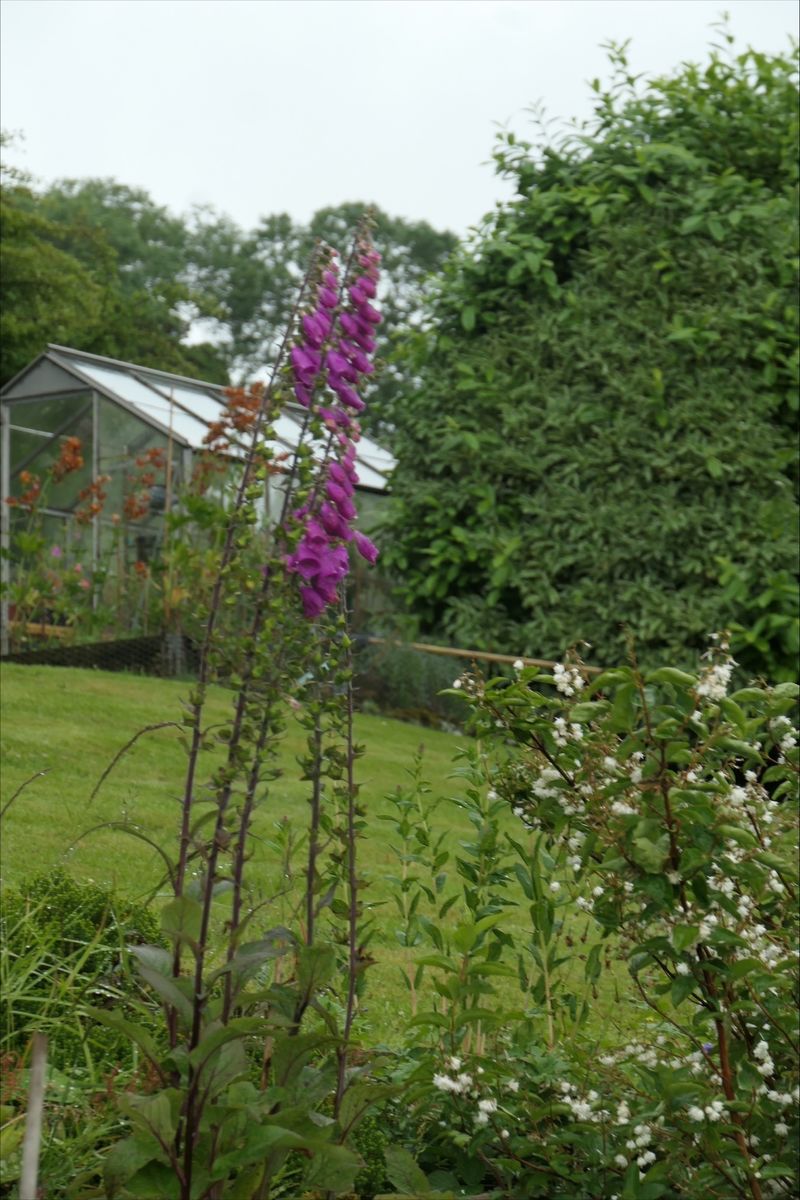 Bonerick House