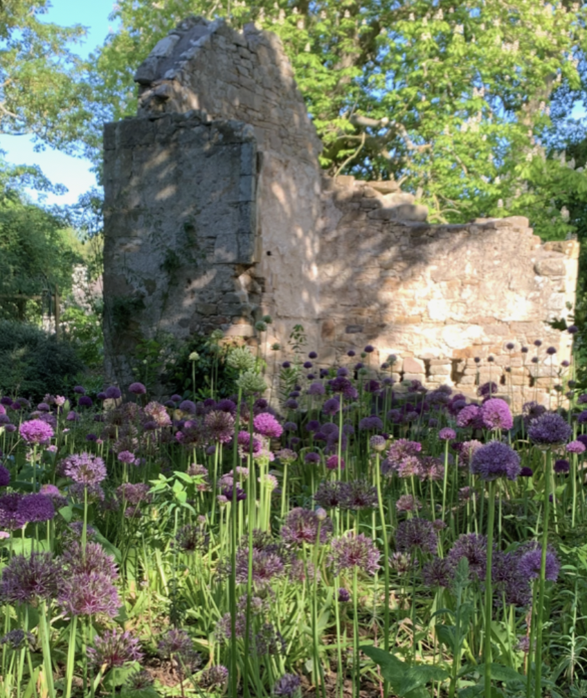 Haugh Garden