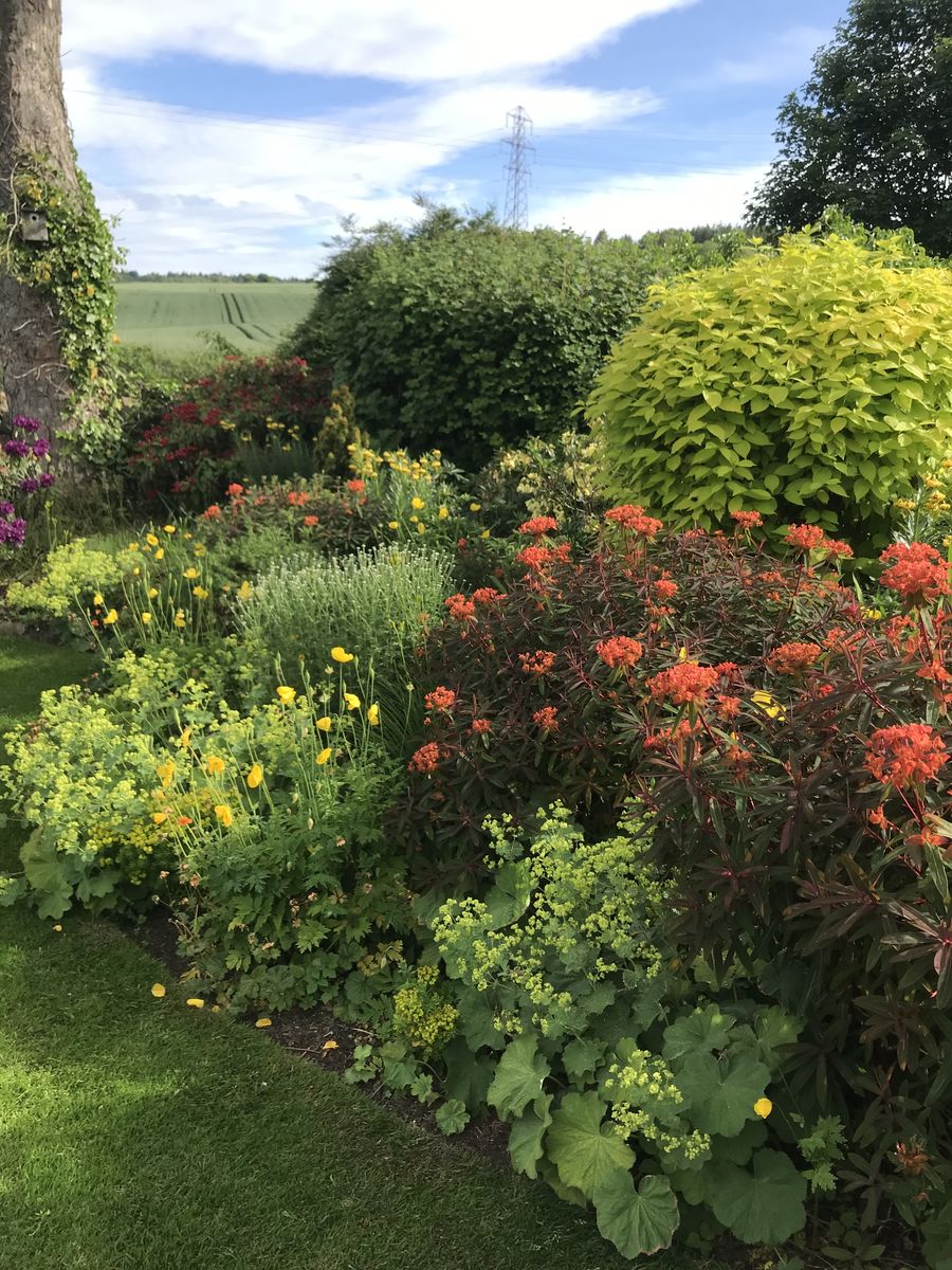 Whin Cottage
