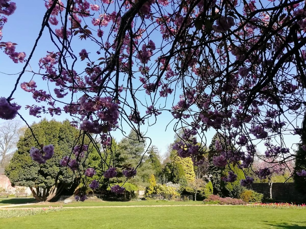 King's Park Walled Garden