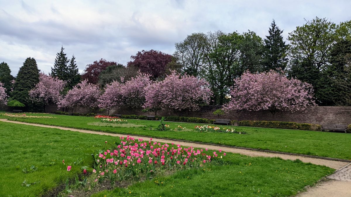 King's Park Walled Garden