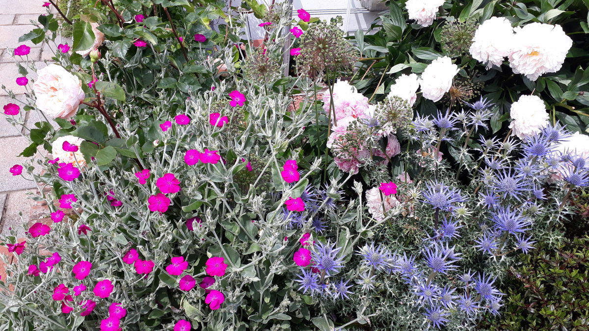 Pentland Crescent Gardens