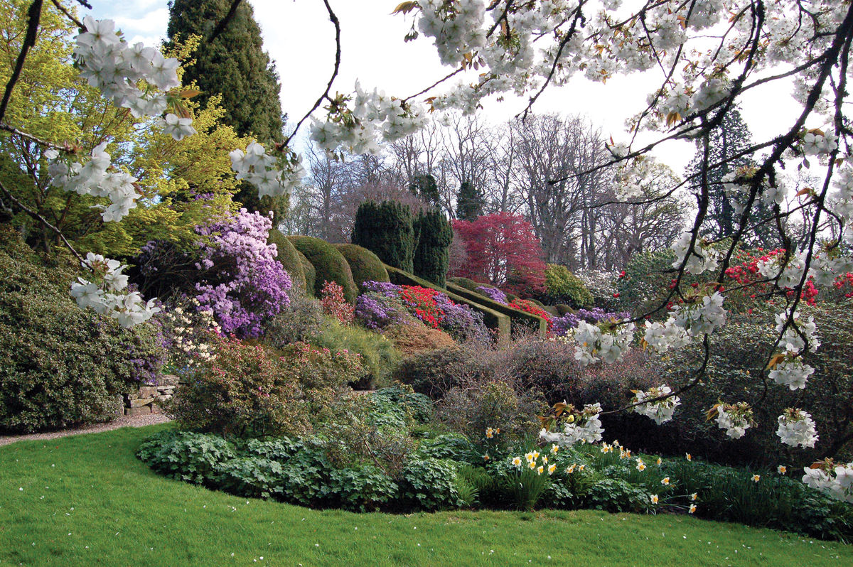 brechin-castle-gardens-4-2.jpg
