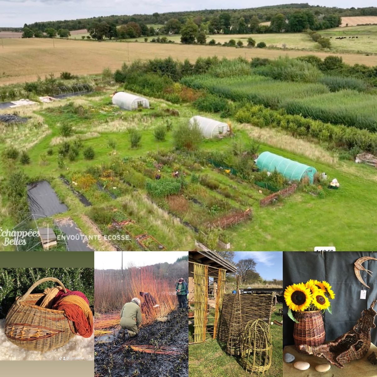 Naturally Useful, Marcassie Farm