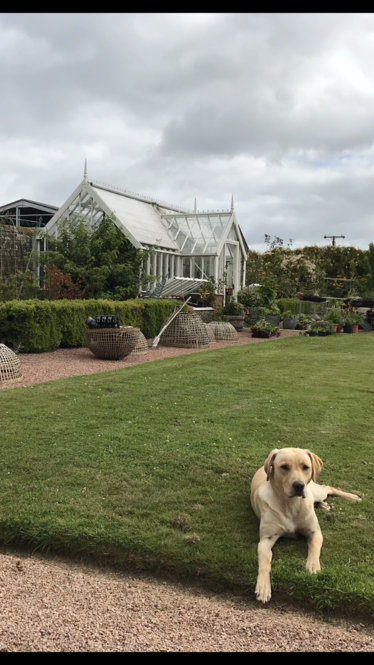 Pitlochie House