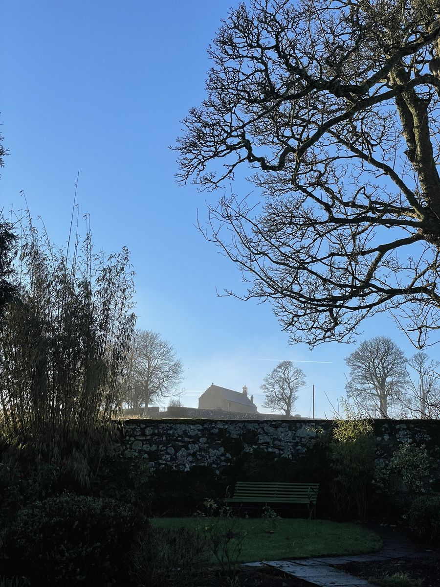 Moonzie Kirk from the garden