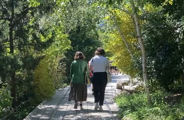 people-walking.jpeg
