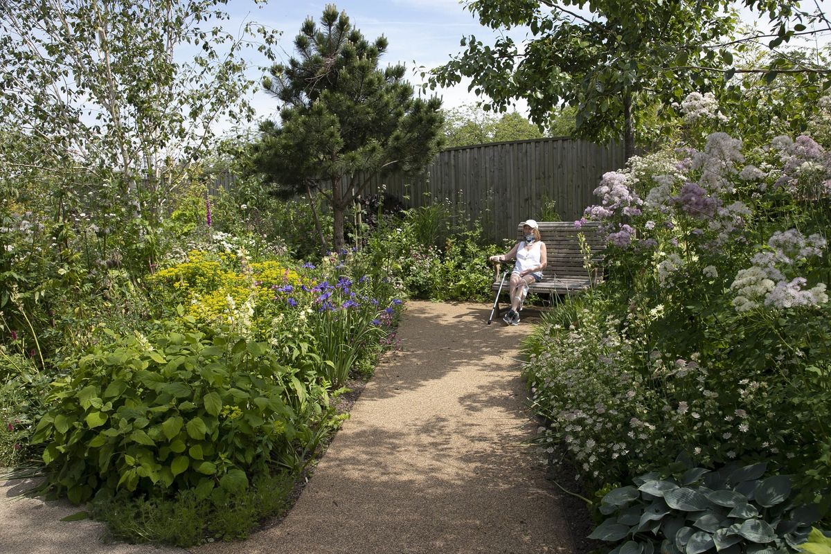Horatio's Garden