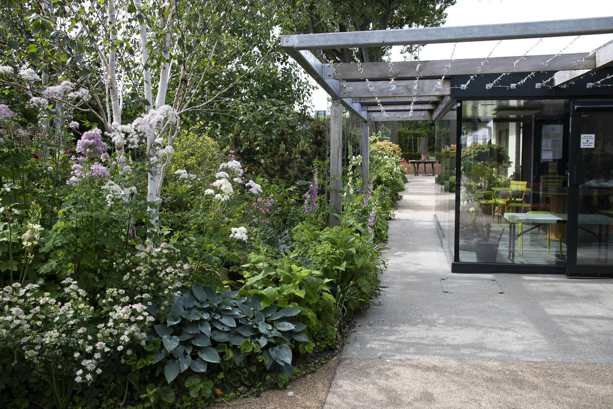 Horatio's Garden