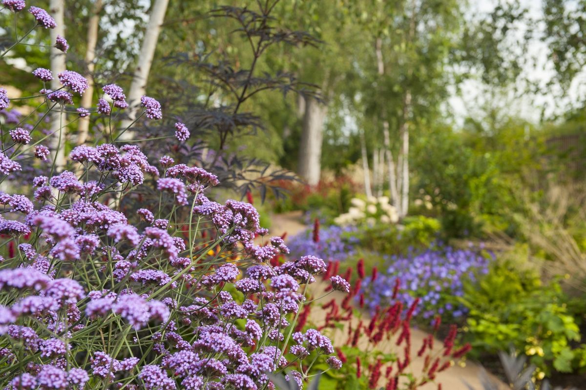 Horatio's Garden