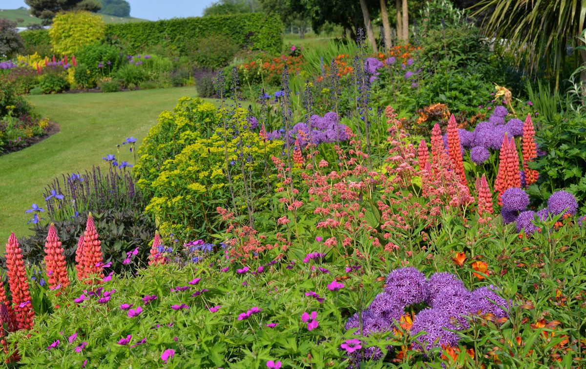 Willowhill
