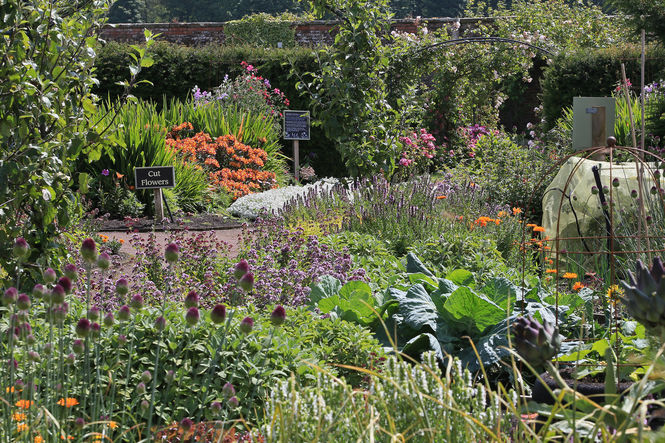 The Gardens at Archerfield Walled Garden ©Delia Ridley-Thomas