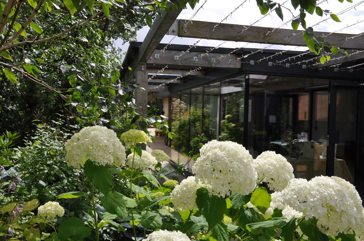 Horatio's Garden