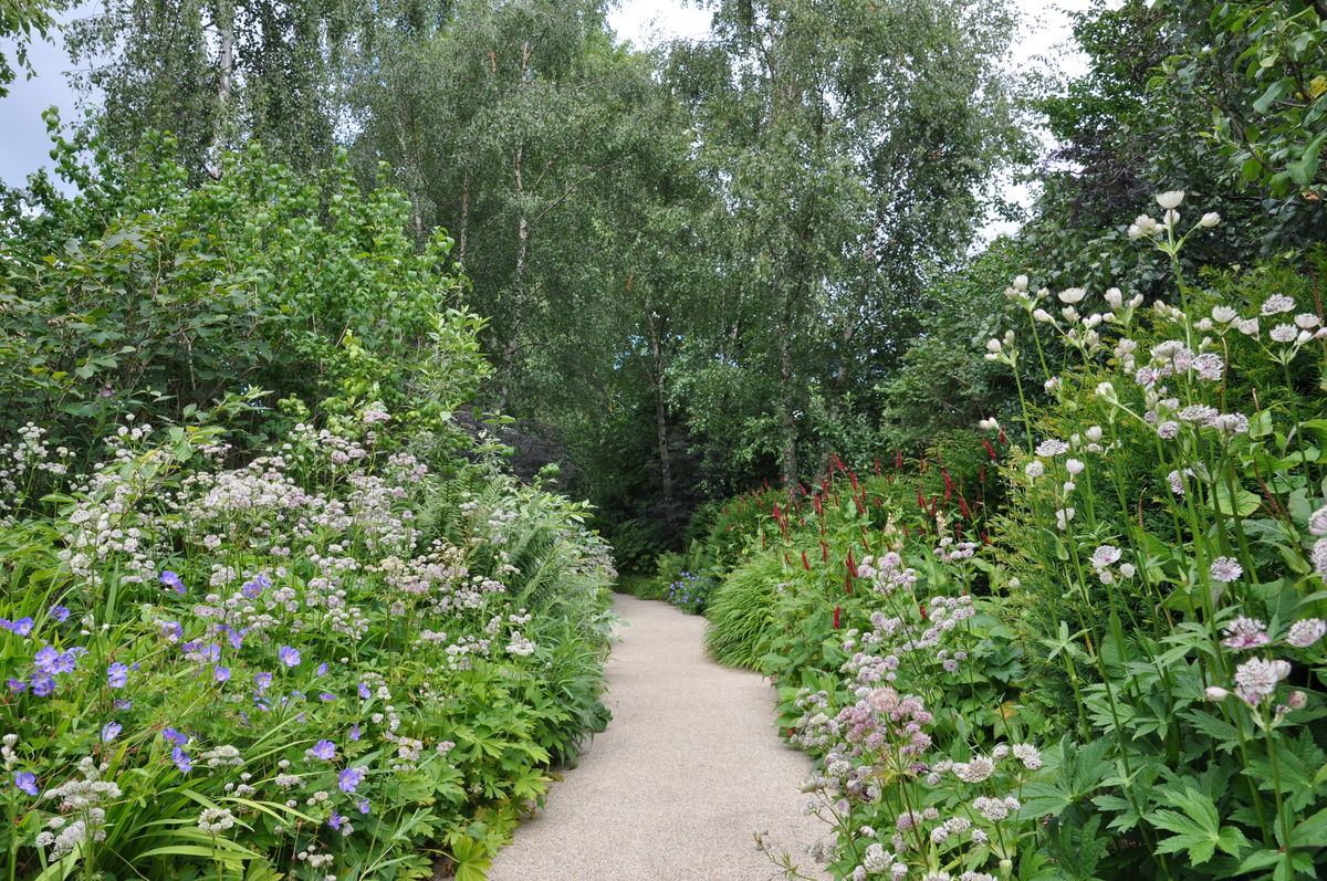 Horatio's Garden