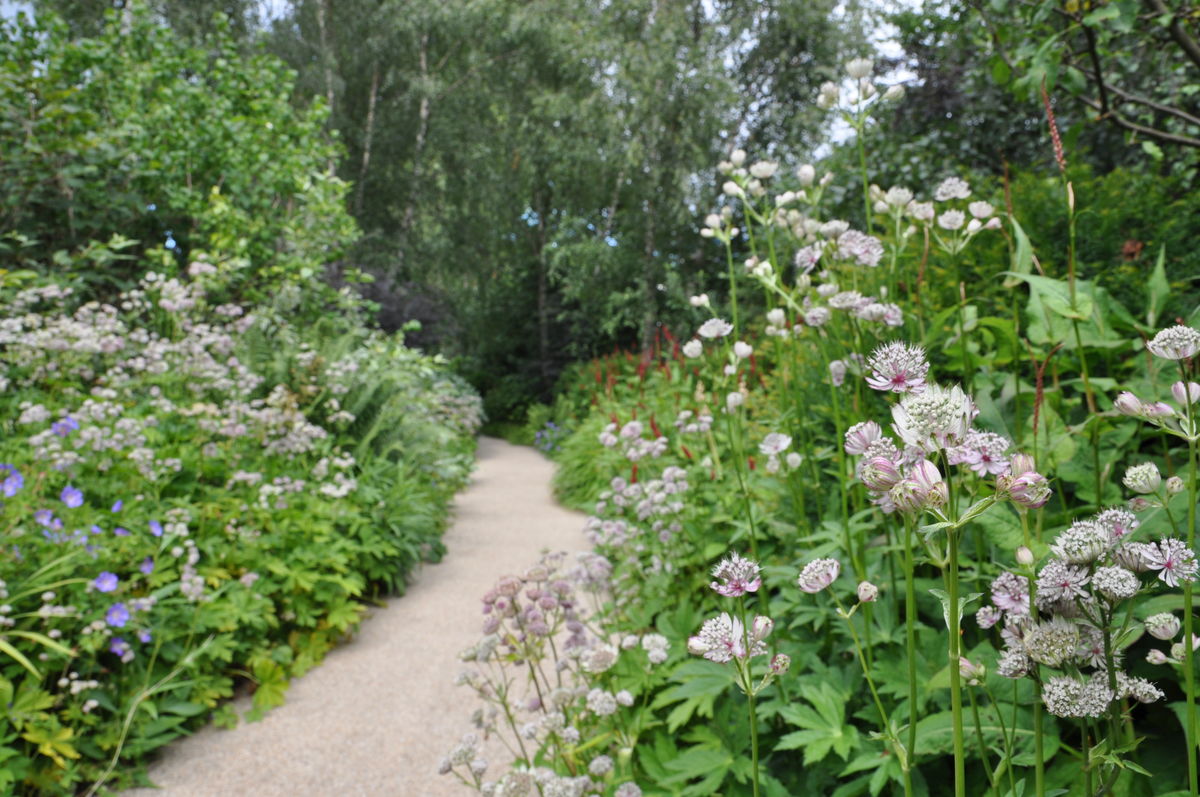 Horatio's Garden