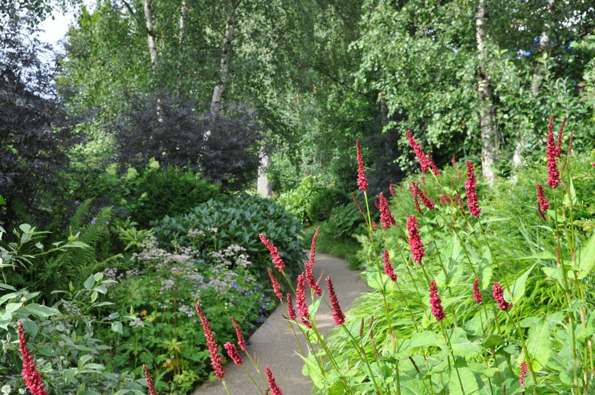 Horatio's Garden