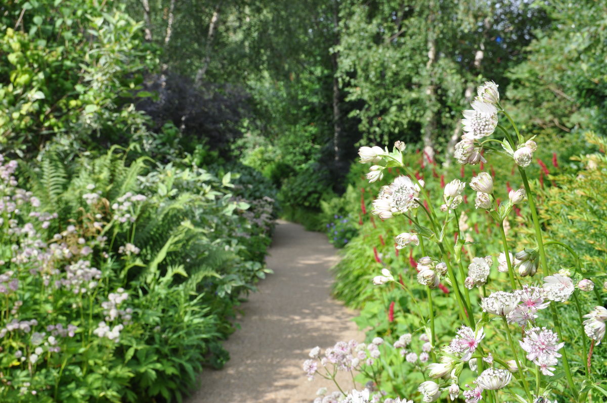 Horatio's Garden
