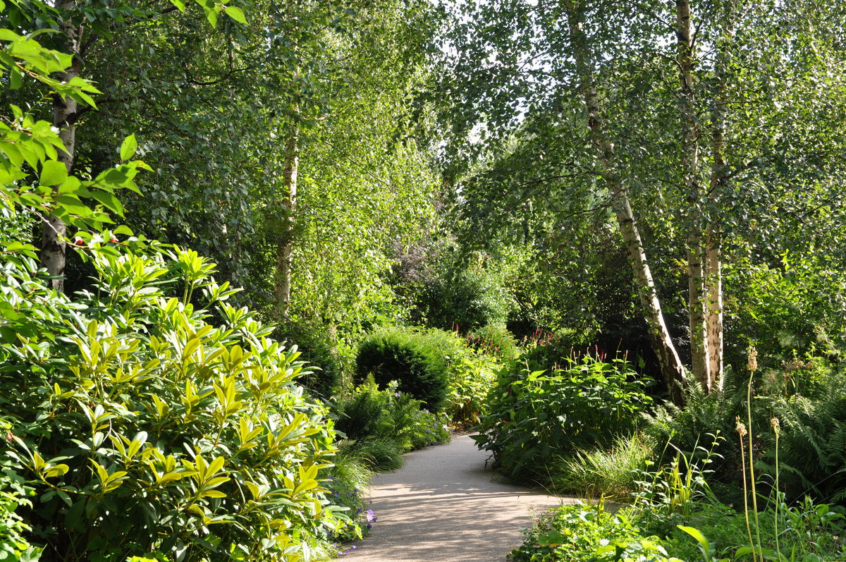 Horatio's Garden