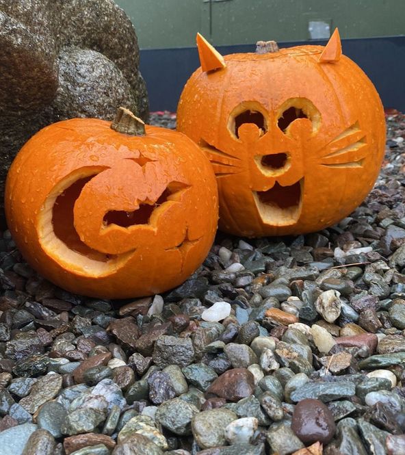 pumpkin-2.jpg