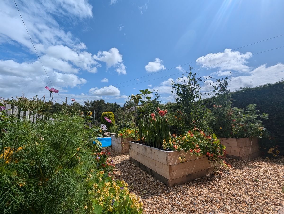 Grow Cook Inspire Garden