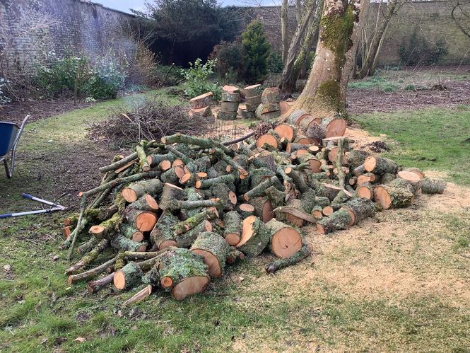 woodfall-2.jpg