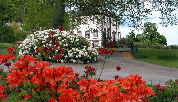 Glendoick