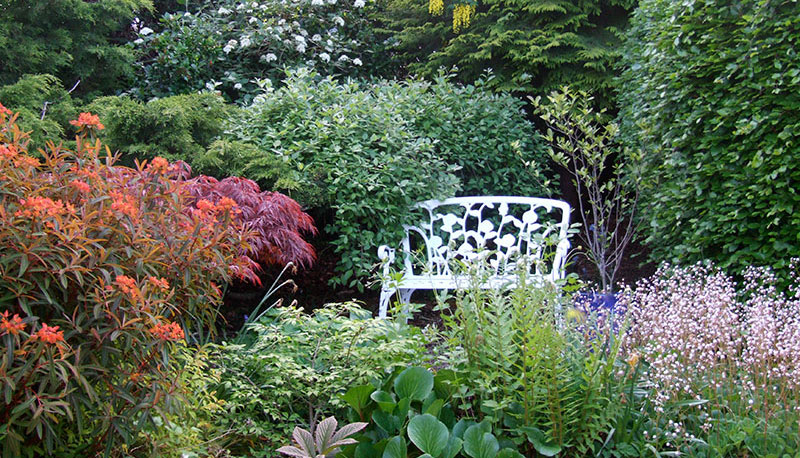 Helensbank - a shady spot