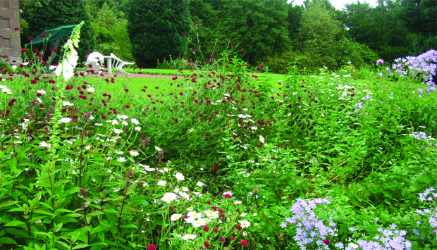 Bonhard Garden